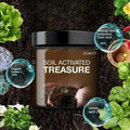 Soil Activated Treasure Premium Soil Activator 200gram (Pack of 2) - NovaLane